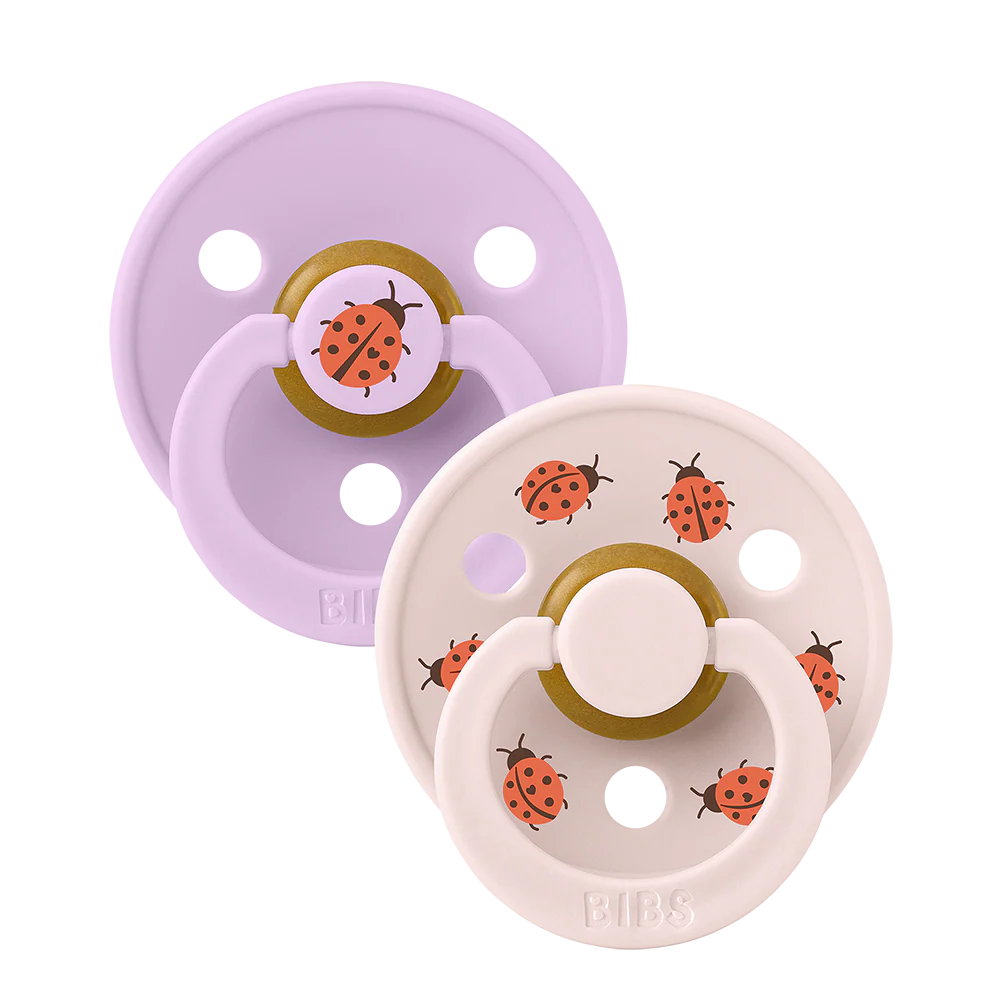 Suce bibs studio 6-18 mois ladybug violet sky mix pack de 2