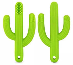 Brosse a dent cactus
